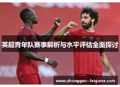 英超青年队赛事解析与水平评估全面探讨