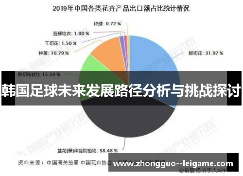 韩国足球未来发展路径分析与挑战探讨